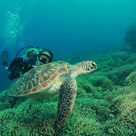 Bongo Bongo Divers Dauin Eksteriør billede