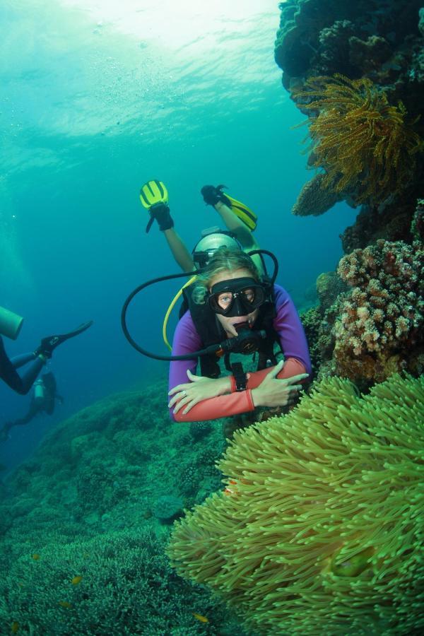 Bongo Bongo Divers Dauin Eksteriør billede