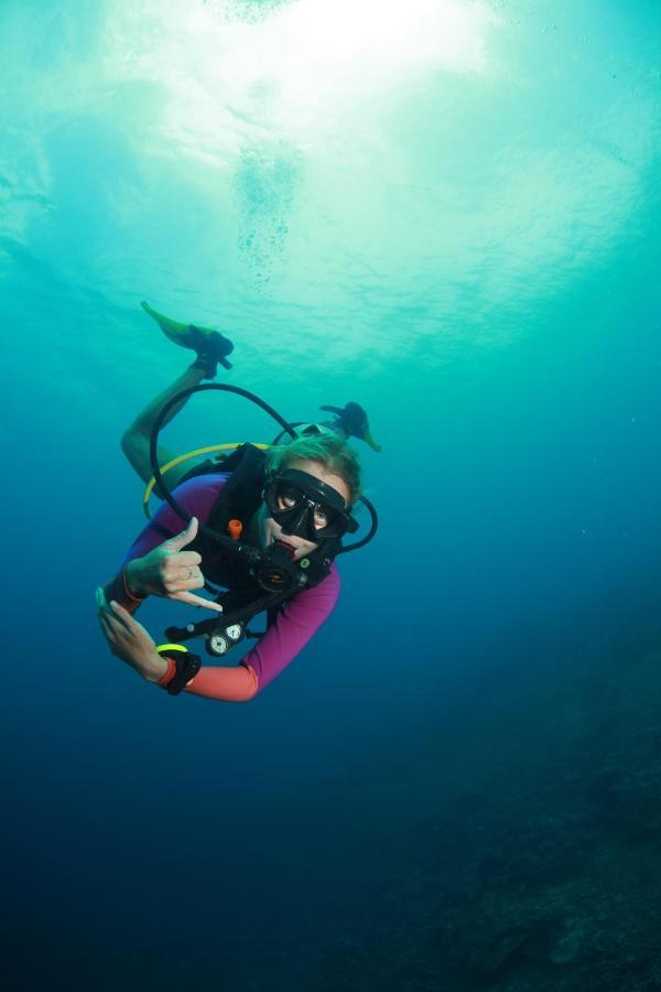 Bongo Bongo Divers Dauin Eksteriør billede